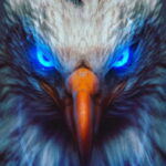 Profile photo of Hassaan