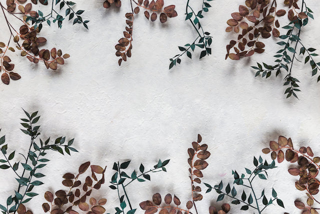 676ba0ed3773b bp cover image